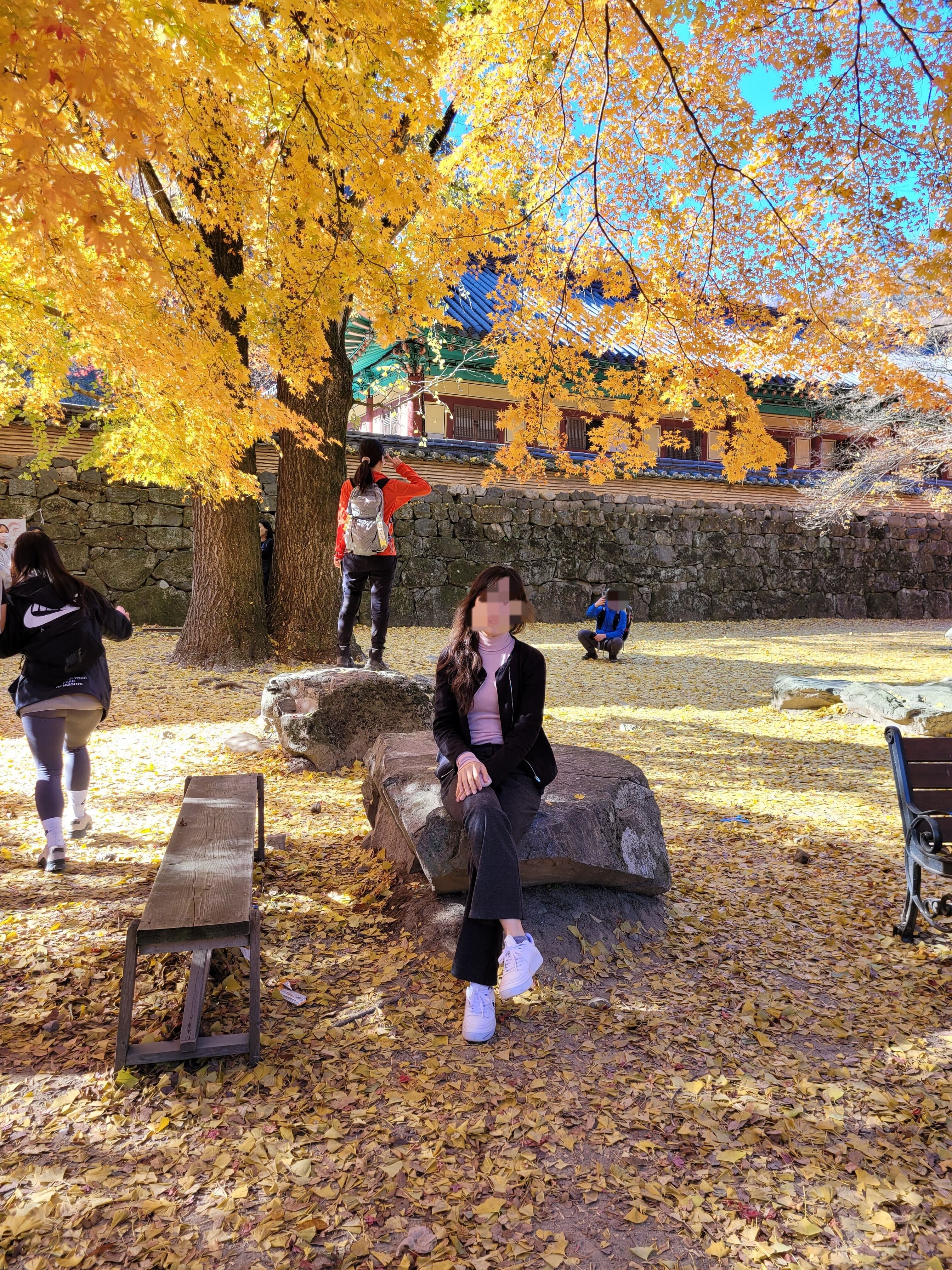 단풍 명소 사진 포즈