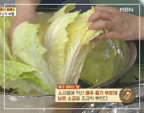 배추 절이기 - 소금 뿌리기
