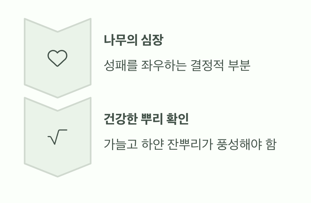 2. 뿌리, 숨겨진 생명력을 확인하세요