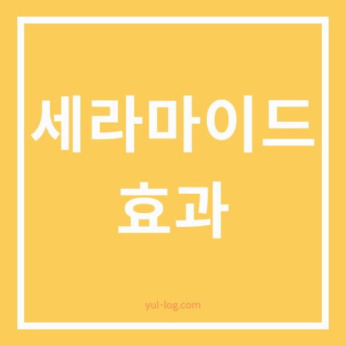 건강한 피부를 위한 필수 성분 세라마이드 효과 알아보기