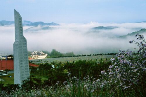 영천 가볼만한곳 베스트 10