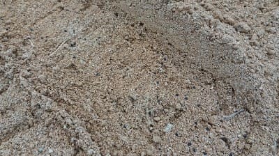 대파재배-씨앗-파종방법-심는방법