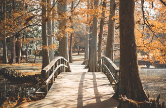 2024-대한민국-숙박세일-페스타-쿠폰-발급