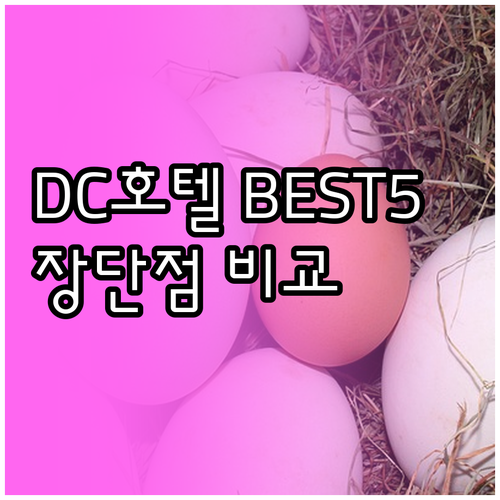 워싱턴 DC 호텔 추천 베스트 5 장