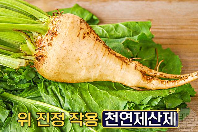 위염에 좋은 음식 사탕무 위염음식