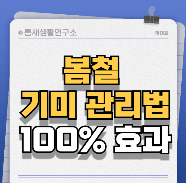 봄철-기미-관리법-썸네일