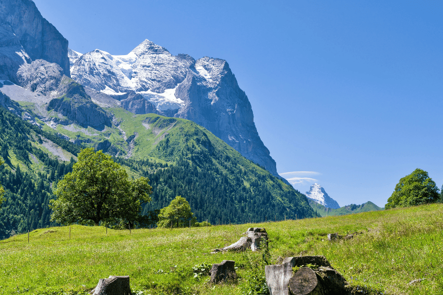 여행 사진 잘 찍는 스마트폰 앱 추천 TOP 5