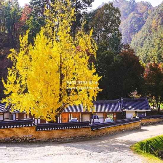 11월 여행지 추천