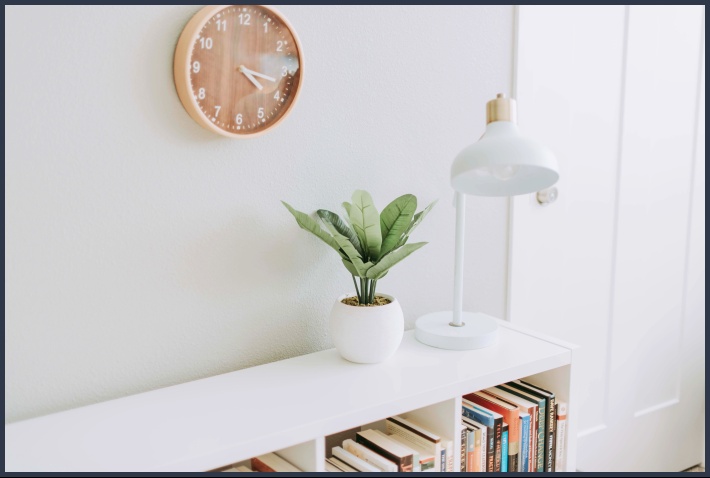 시계 식물 흰색 조명