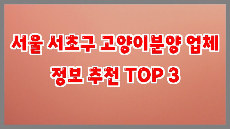 서울 서초구 고양이분양