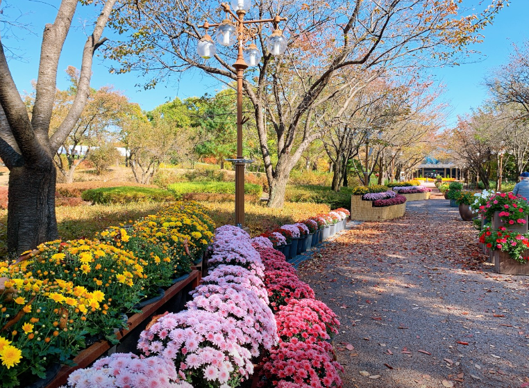 강원특별자치도립화목원3