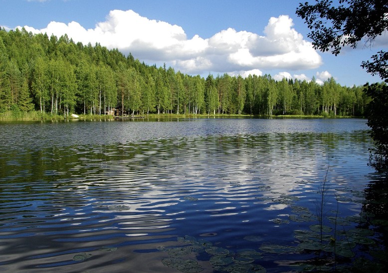 자연보호구역 해외여행 중 핀란드 눅시오 국립공원 사진
