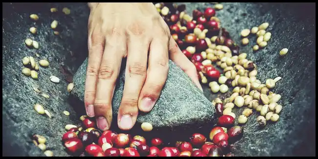 파로 곡물 효능 및 부작용과 먹는 법