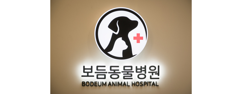 서울 도봉구 동물병원