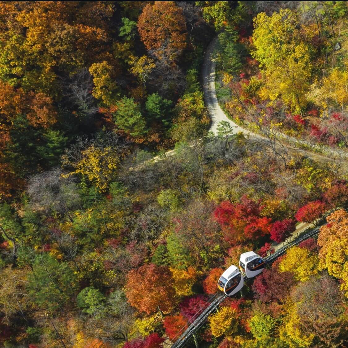 화담숲 예약 입장료 화담채
