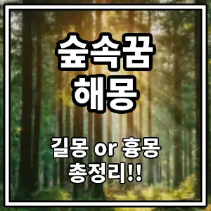 숲속꿈