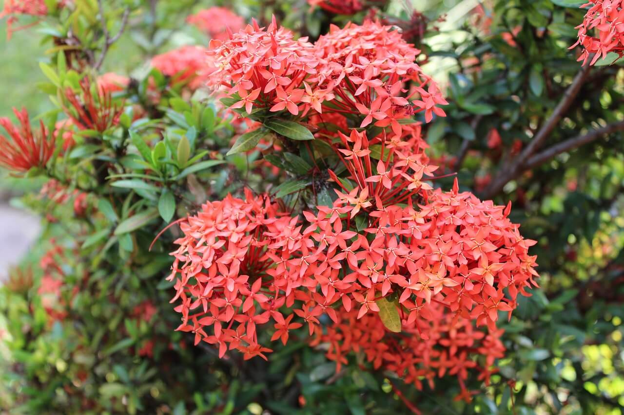 근로장려금 환수문자 받음 &mdash; 진짜 대응법