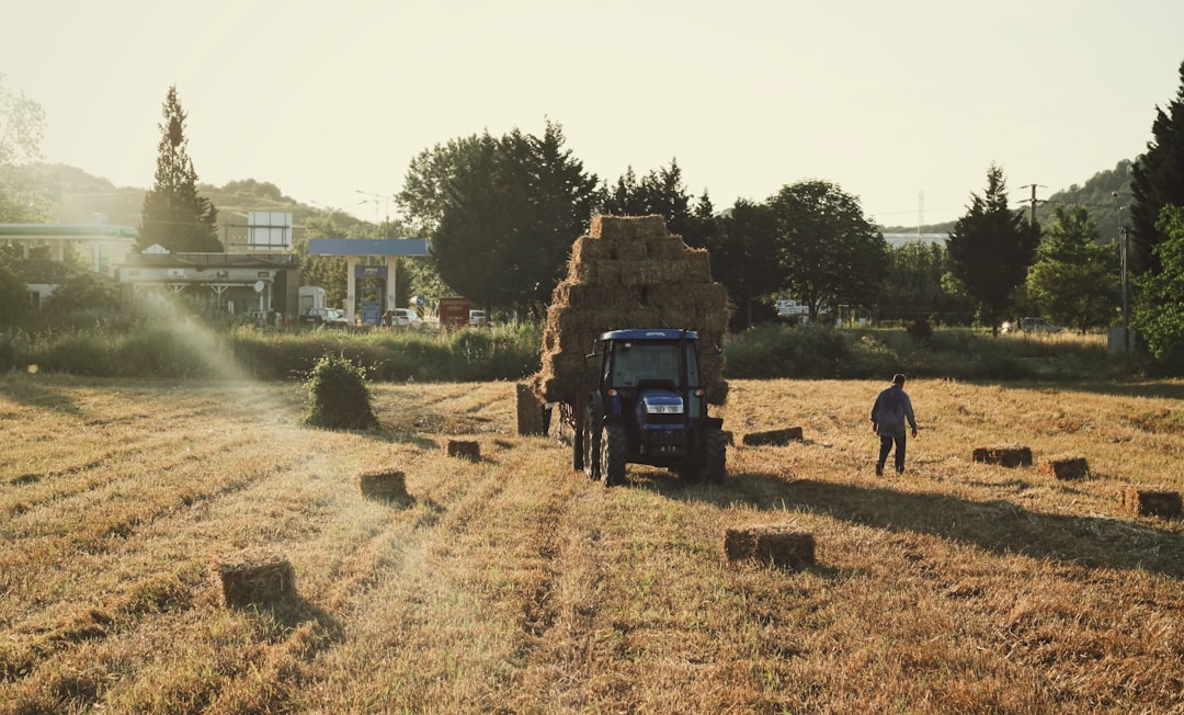 Urban Agriculture