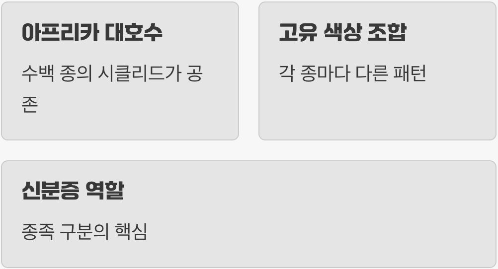 첫인상이 전부! '종족'을 알아보는 신분증