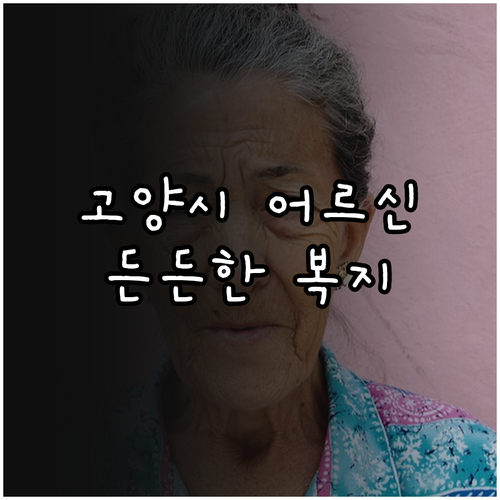 고양시 다-이음 케어 2025: 복지..