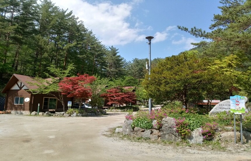 강원도 태백고원 자연휴양림 숙소 예약 주변 계곡 등산 단풍 명소 할인 날씨 정보