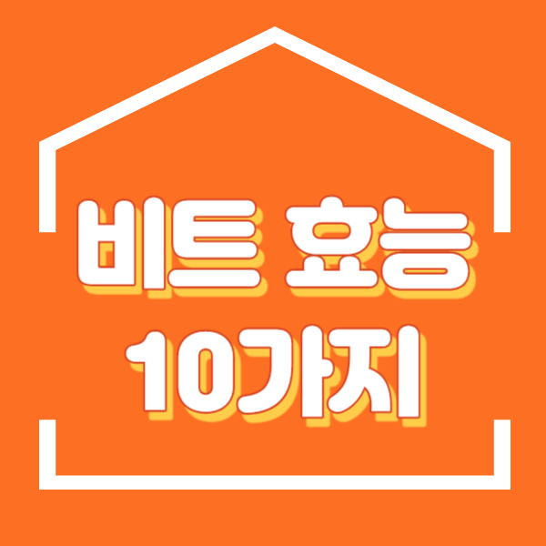 비트 효능 10가지