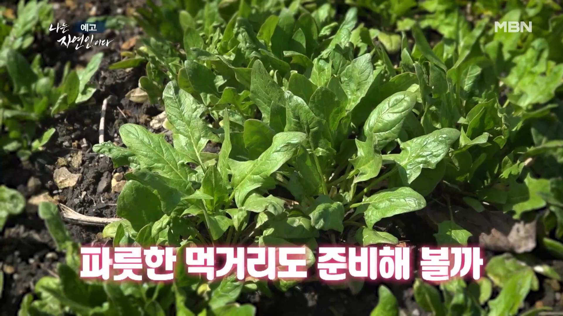 나는-자연인이다-이승윤