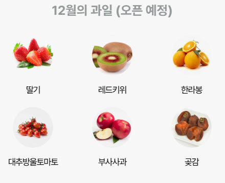 김치와 제철과일 정기배송 농협맛선