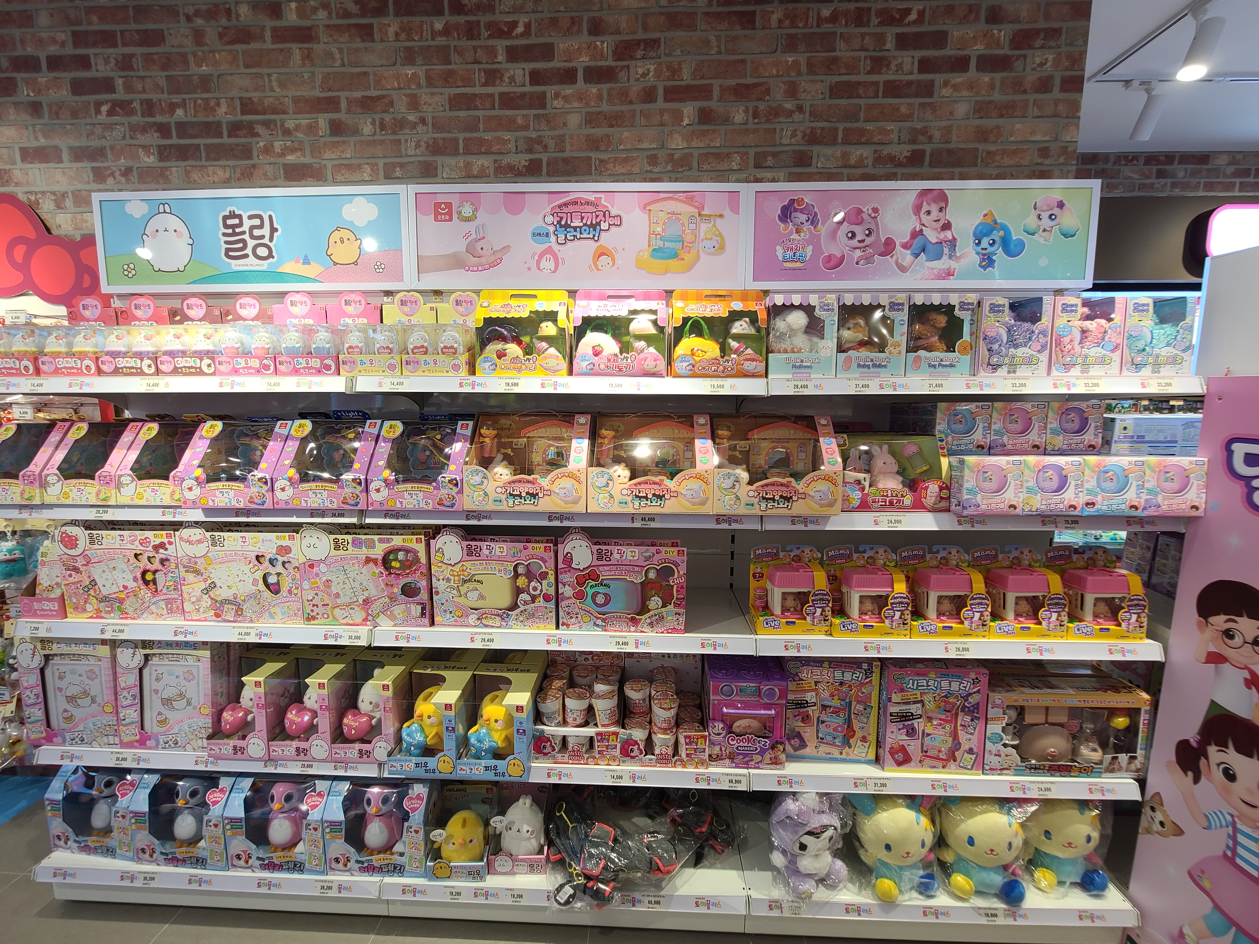 여주 토이플러스 1층 - 몰랑이, 티니핑