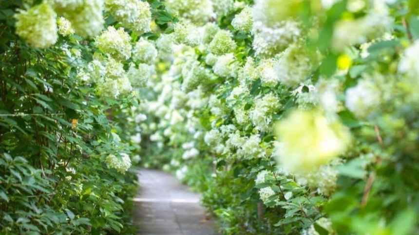 특색있고 아름다운 민간 정원 30선 추천 여행 - 22. 담양 죽화경