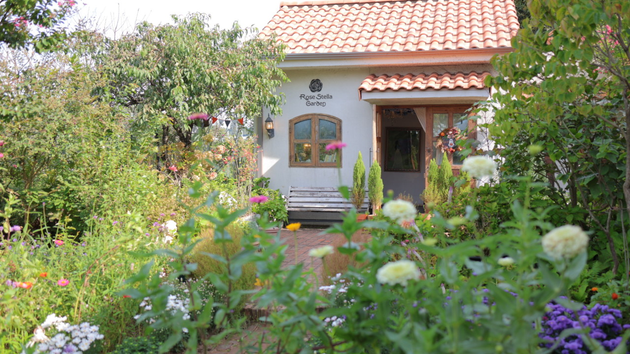 인천 로즈스텔라정원