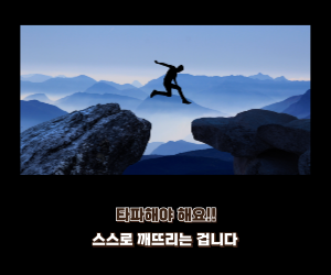 타파해야 해요!!