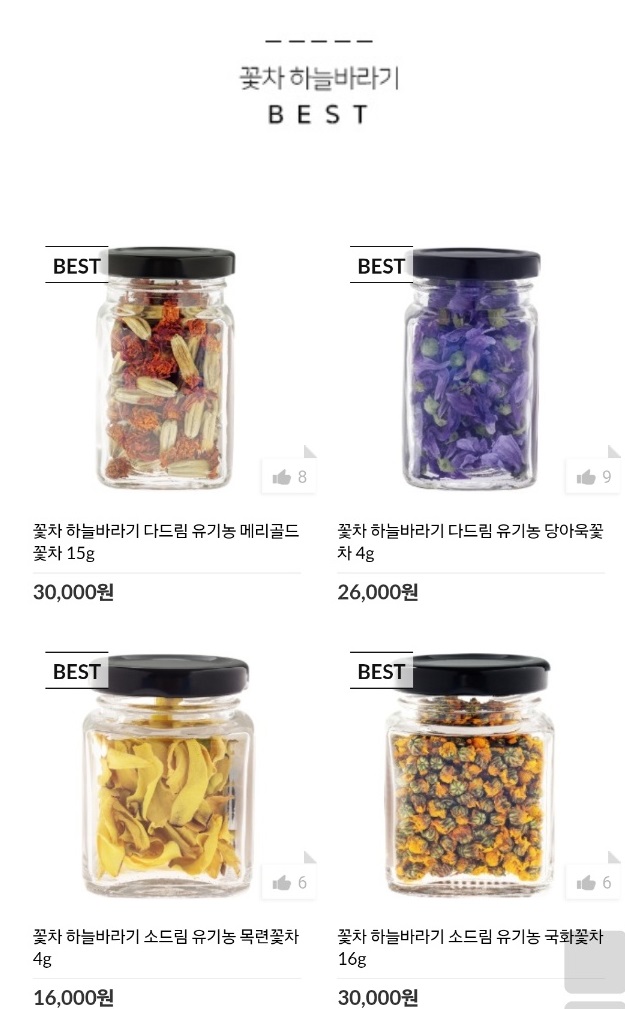 생생정보-창원-꽃차-하늘바라기