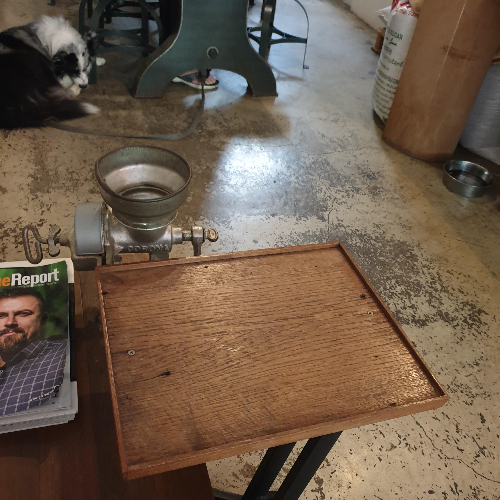 치앙마이 카페 투어 ② : 올드시티 북쪽 창푸악 카페들 (OMNiA Cafe & Roastery)_매장 내부_카운터 쪽 좌석