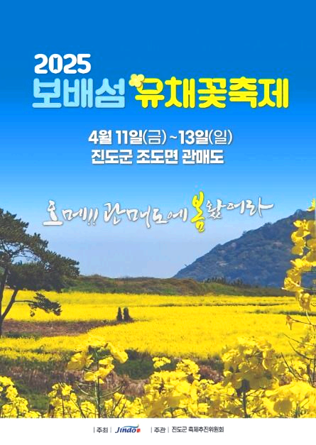 보배섬 유채꽃축제