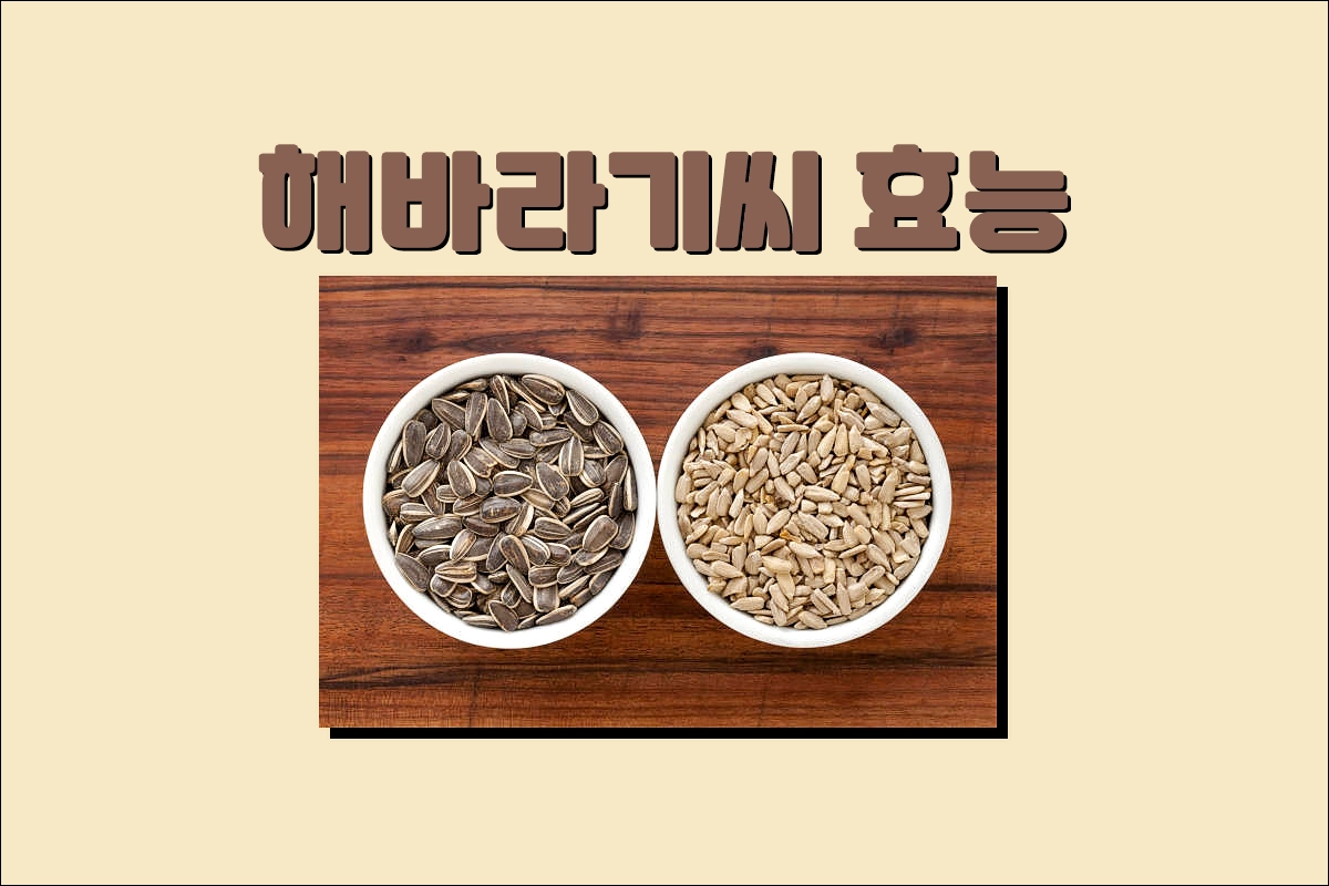 해바라기씨 효능