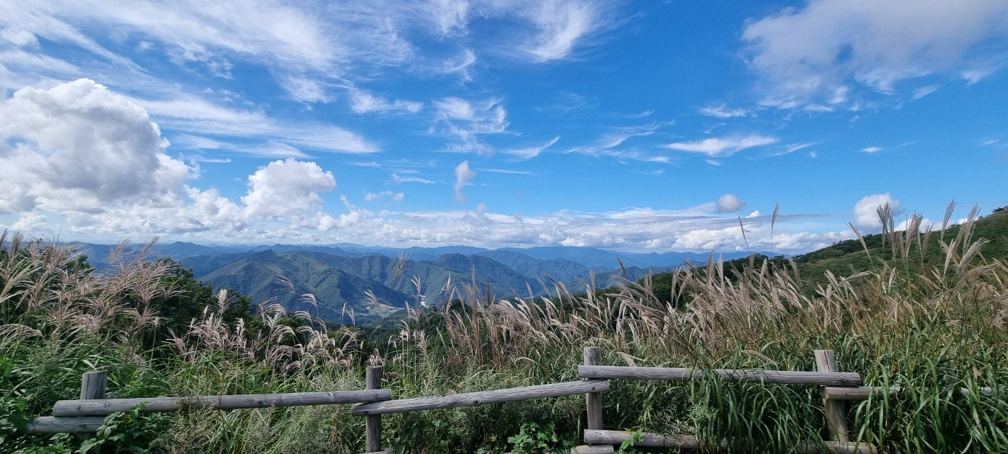 강원도여행지추천