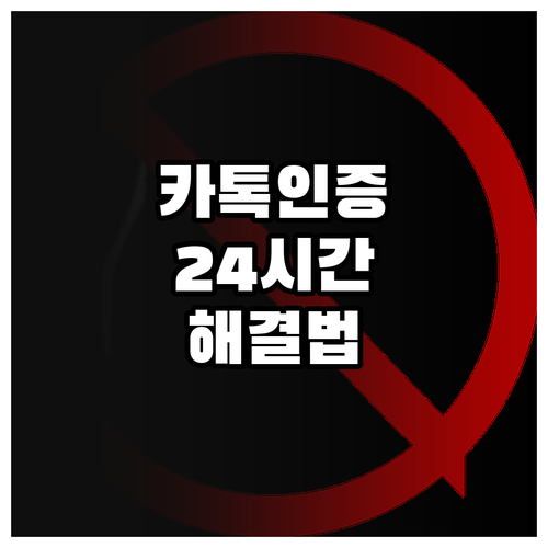 카카오톡 인증번호 발송 제한 원인 2..