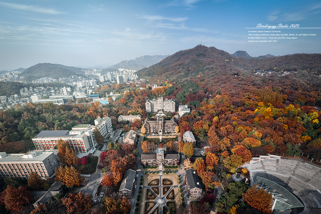 #서울 #신촌 #연세대 #연세대학교 #모교 #단풍 #가을