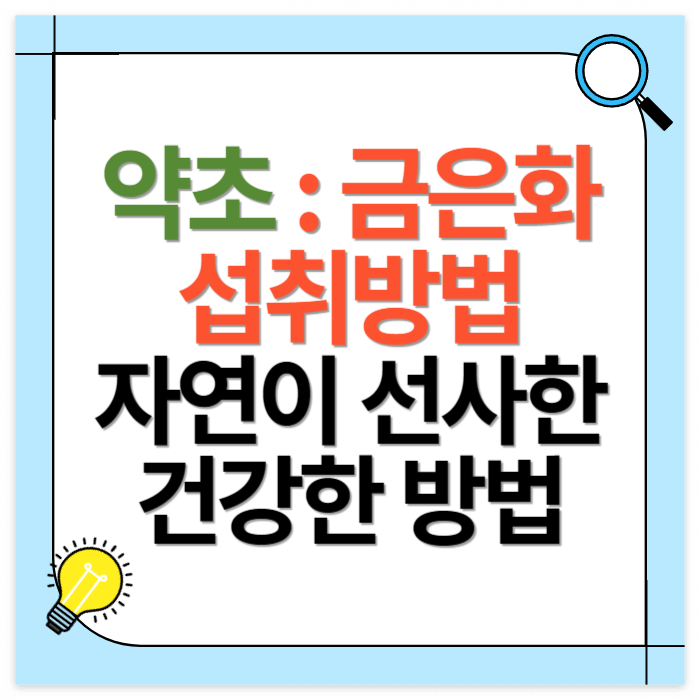 금은화 섭취방법