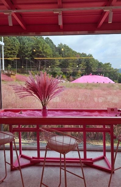 포천 허브아일랜드-핑크뮬리