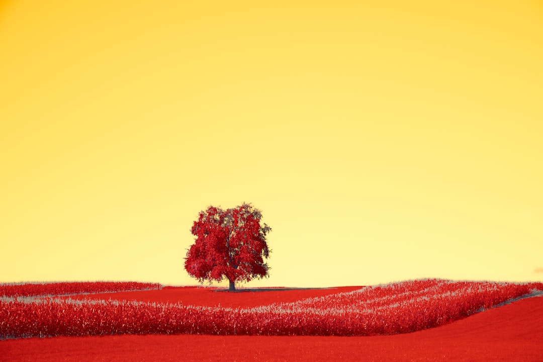 Blood type