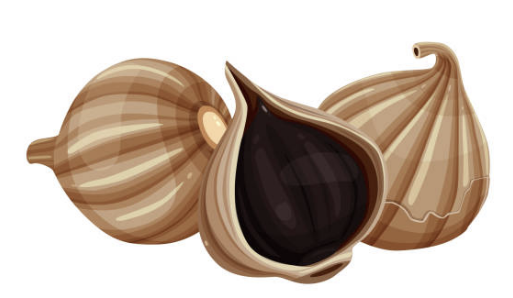 흑마늘 효능 만들기 전기밥솥 복용방법 보관방법 총정리(최신)