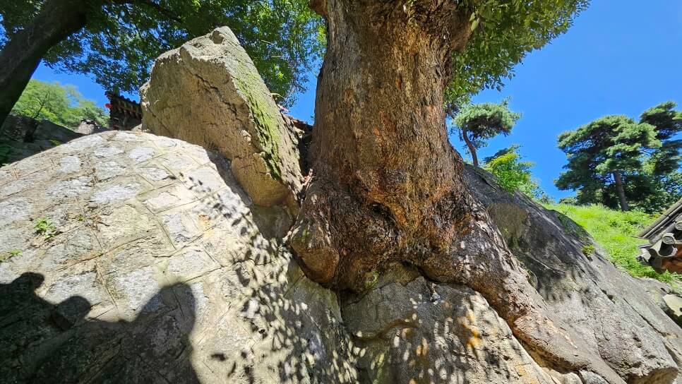 이천 영월암 : 설봉산 자락에 자리한 고요한 산사에서 만나는 불교 문화