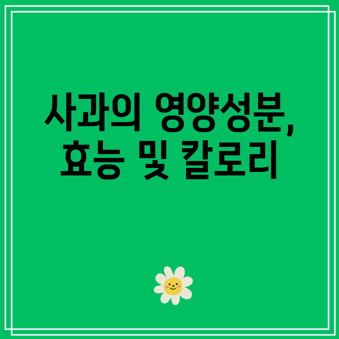 사과의영양성분,효능및칼로리