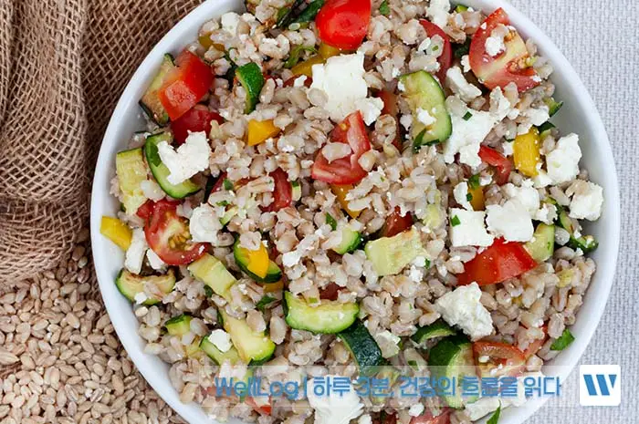 카무트 효소 효능