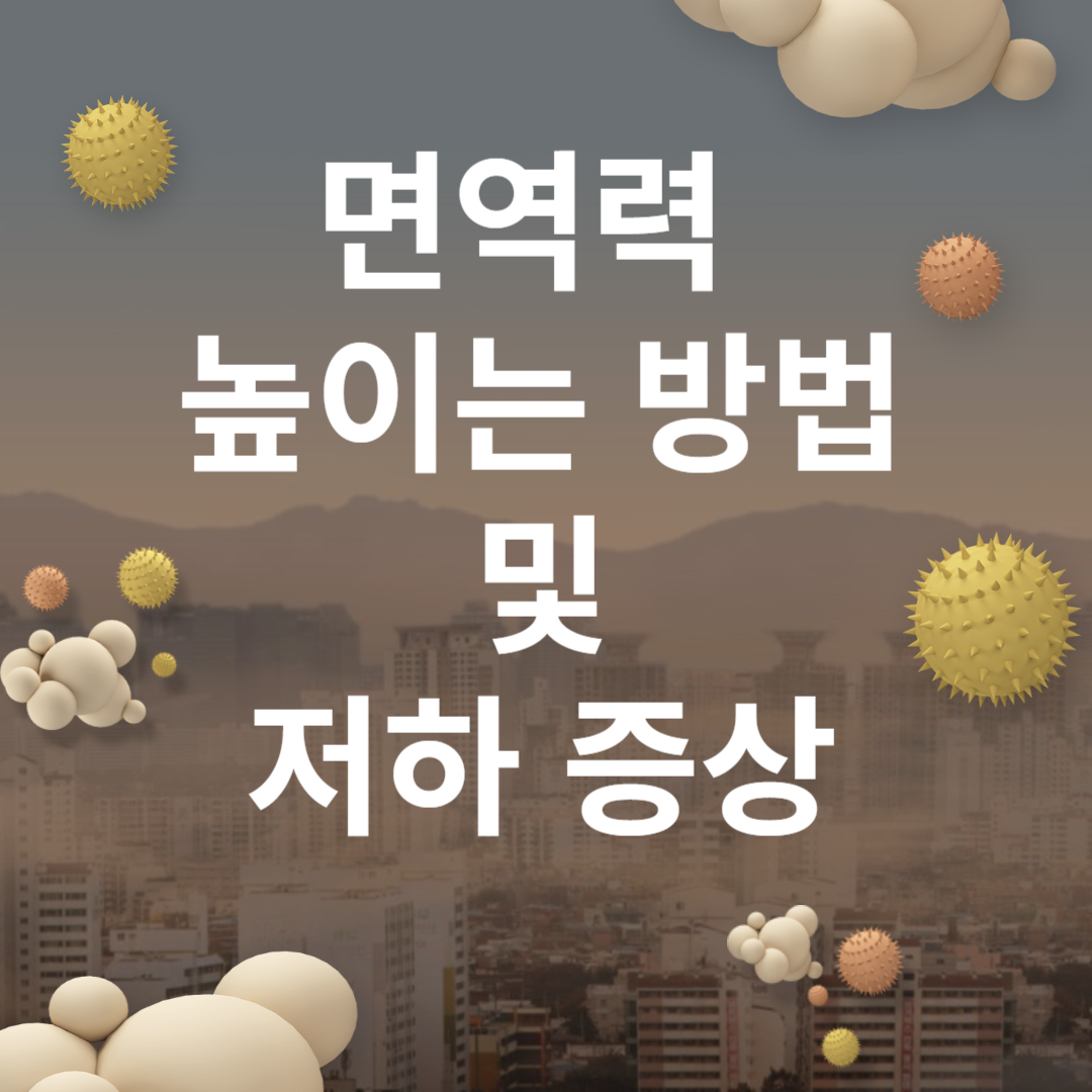면역력 높이는 방법 및 저하 증상