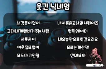 웃긴 닉네임 추천 재밌는 닉네임 웃긴 이름 모음_2
