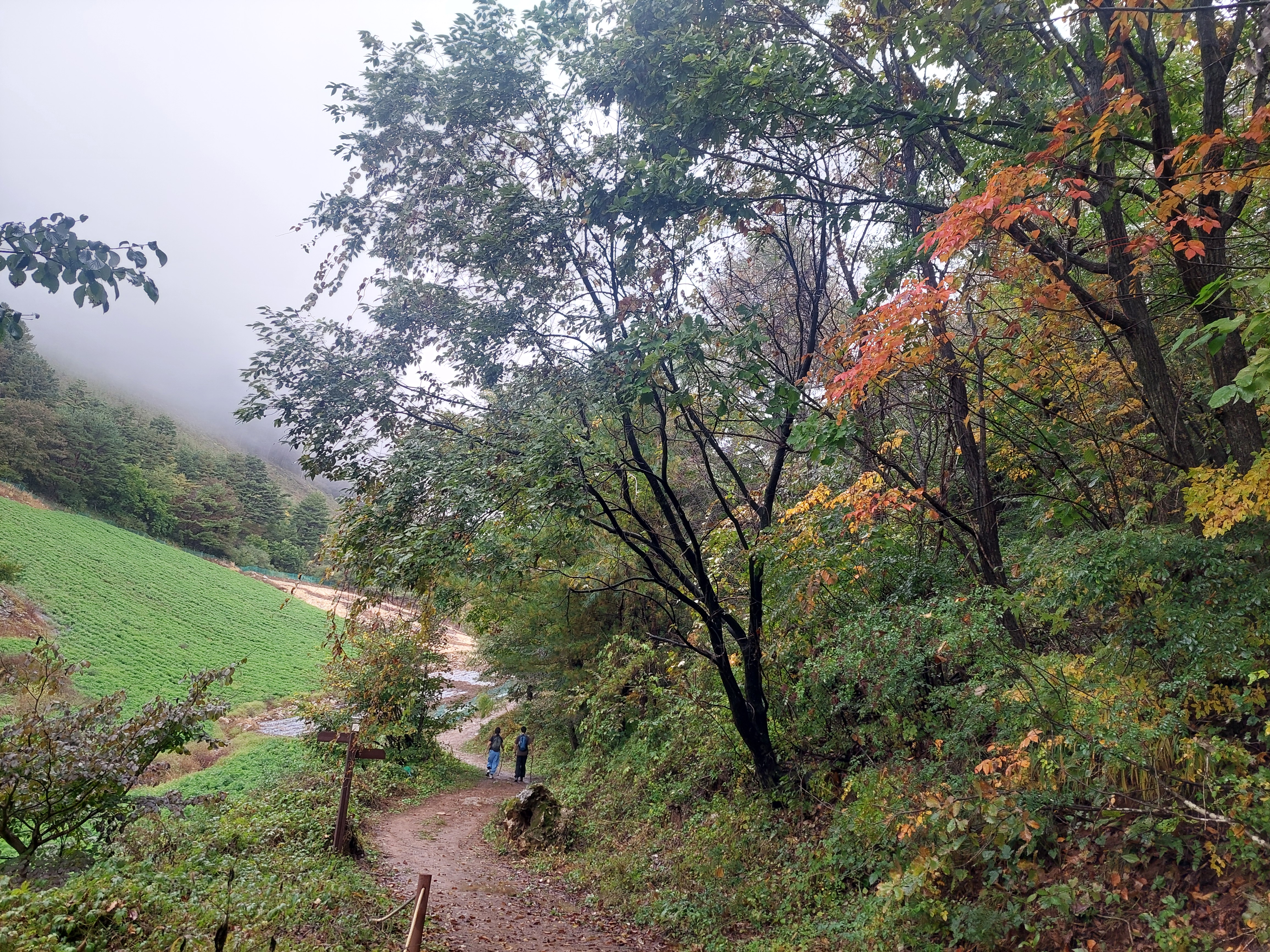 민둥산