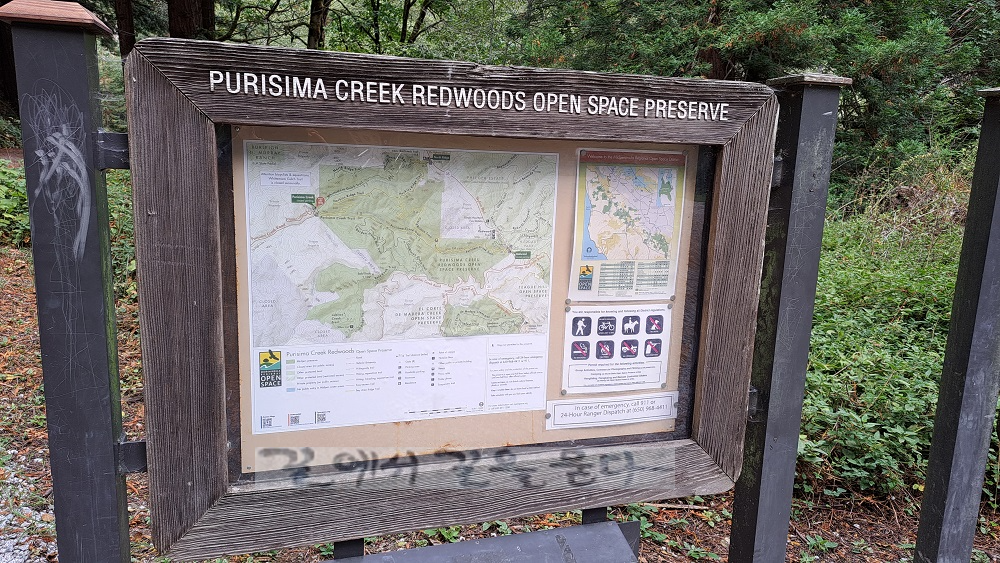 Purisima Creek Redwoods Open Space Preserve